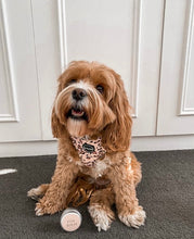 Load image into Gallery viewer, Paw Balm