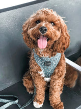 Load image into Gallery viewer, Forest Green - Harness