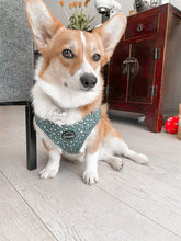 Load image into Gallery viewer, Forest Green - Harness