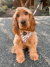 Load image into Gallery viewer, Leopard Print - Harness