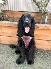 Load image into Gallery viewer, You're A Wizard - Harness