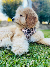 Load image into Gallery viewer, Leopard Print - Harness