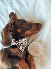 Load image into Gallery viewer, Paw Balm