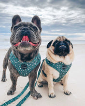 Load image into Gallery viewer, Forest Green - Harness