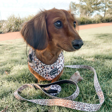 Load image into Gallery viewer, Leopard Print - Harness