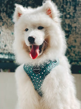 Load image into Gallery viewer, Forest Green - Harness