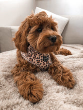 Load image into Gallery viewer, Leopard Print - Harness