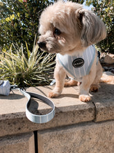 Load image into Gallery viewer, Pinstripe Blue - Harness
