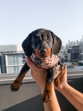 Load image into Gallery viewer, Leopard Print - Harness