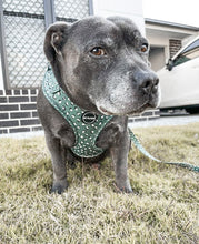 Load image into Gallery viewer, Forest Green - Harness