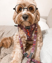 Load image into Gallery viewer, You're A Wizard - Harness