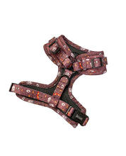 Load image into Gallery viewer, You're A Wizard - Harness