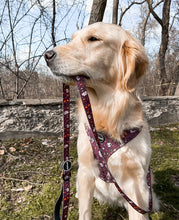 Load image into Gallery viewer, Leopard Print - Harness