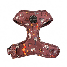 Load image into Gallery viewer, You're A Wizard - Harness