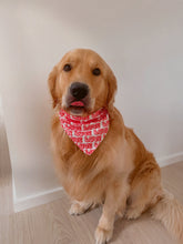 Load image into Gallery viewer, Lots of Love Valentines Day Box
